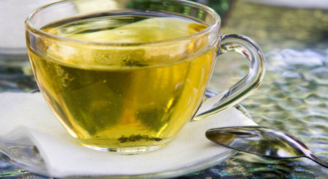Bere tè verde ogni giorno: ecco gli effetti che ha sull&#8217;organismo
