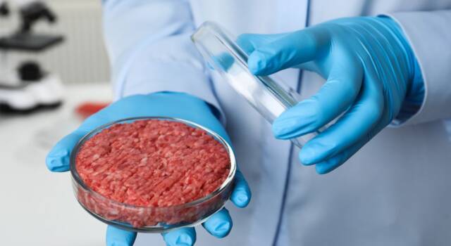 Cos&#8217;è la carne sintetica: pro e contro della nuova alternativa alla carne
