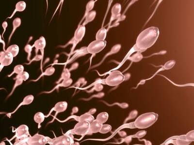 Come la DE influisce sugli spermatozoi