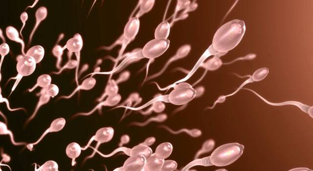 Come la DE influisce sugli spermatozoi